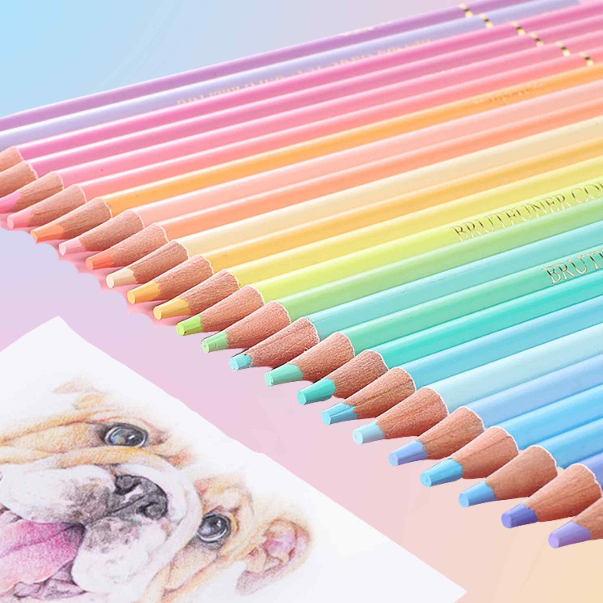 Pastel Colored Pencil Set